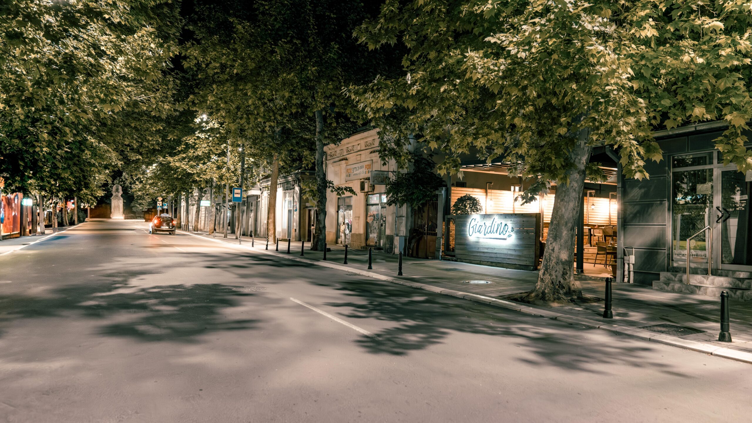 Ulica Vuka Karadzica 1