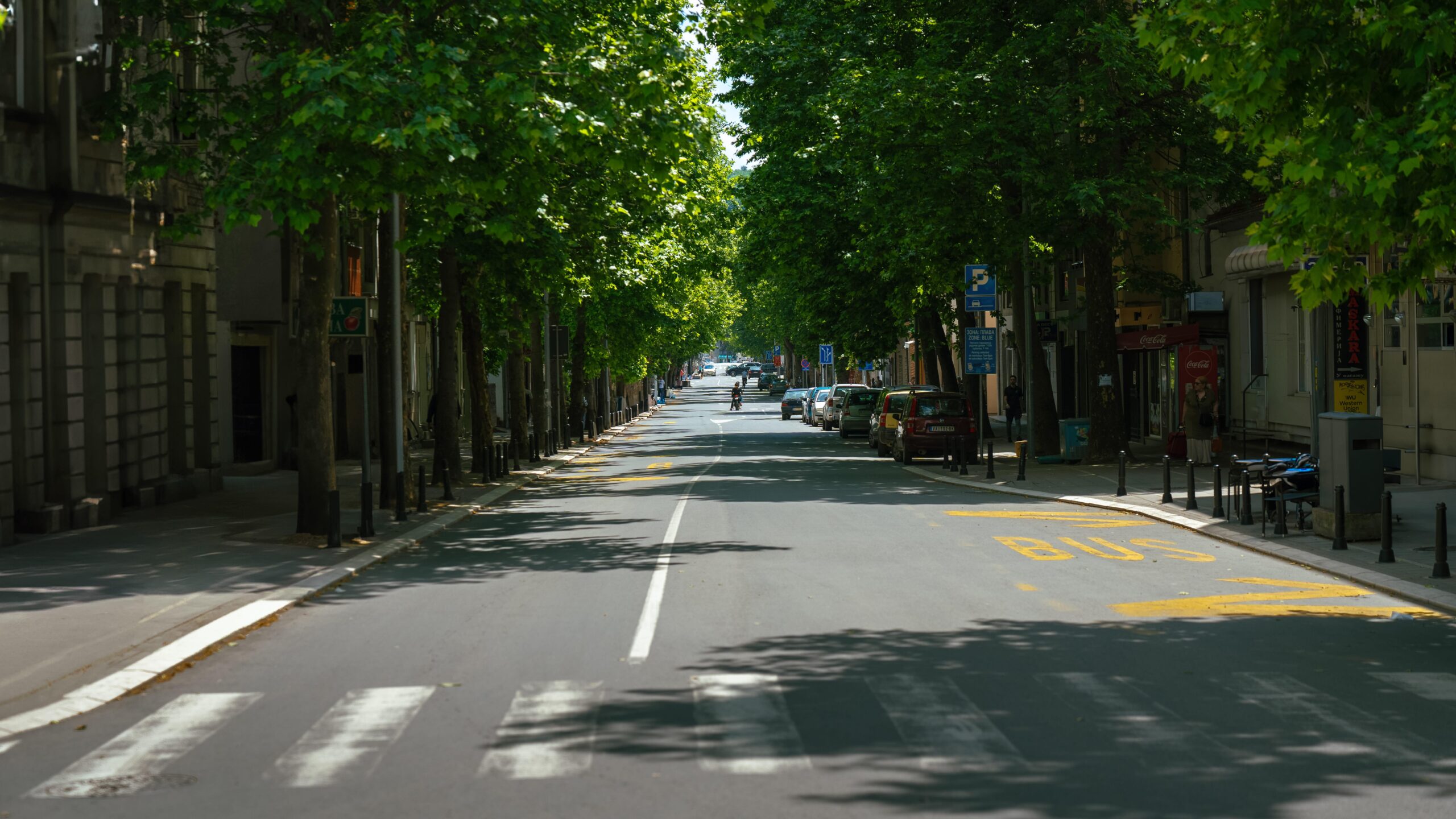 Ulica Vuka Karadzica 6